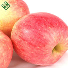 chinese fresh red juicy fuji apple fresh apple (gala)